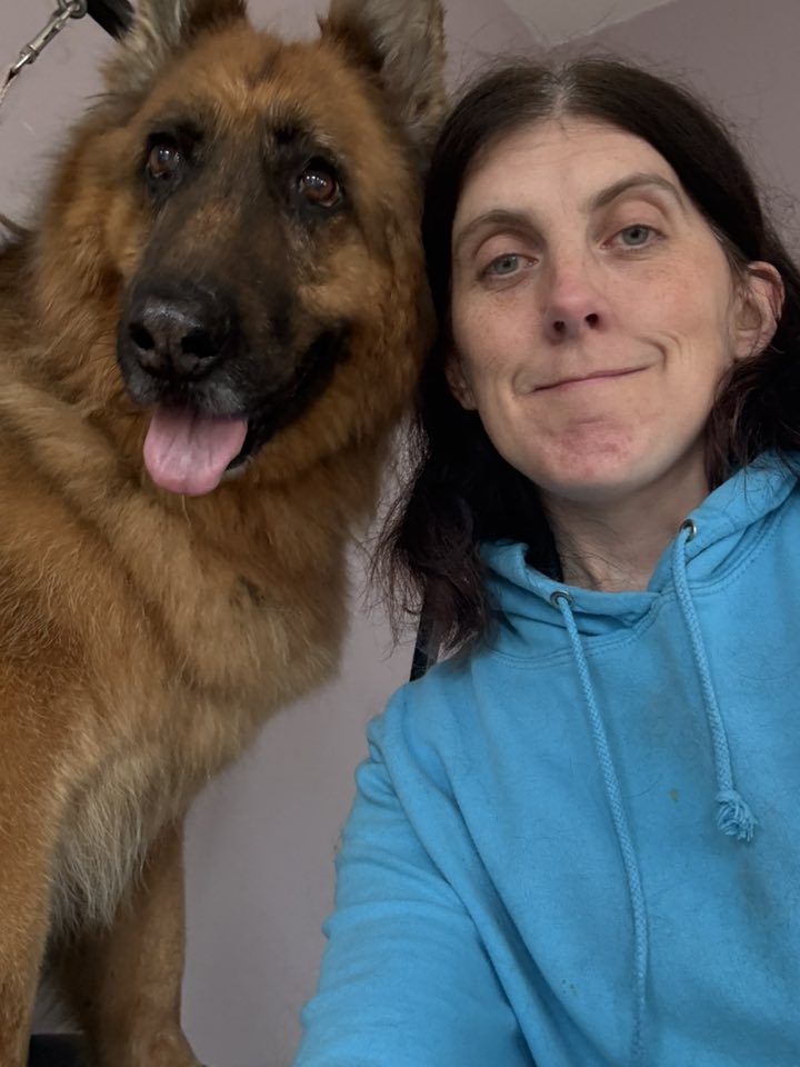 NikNak and German Shepherd
